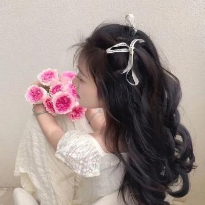 云开月明 电视剧 2026